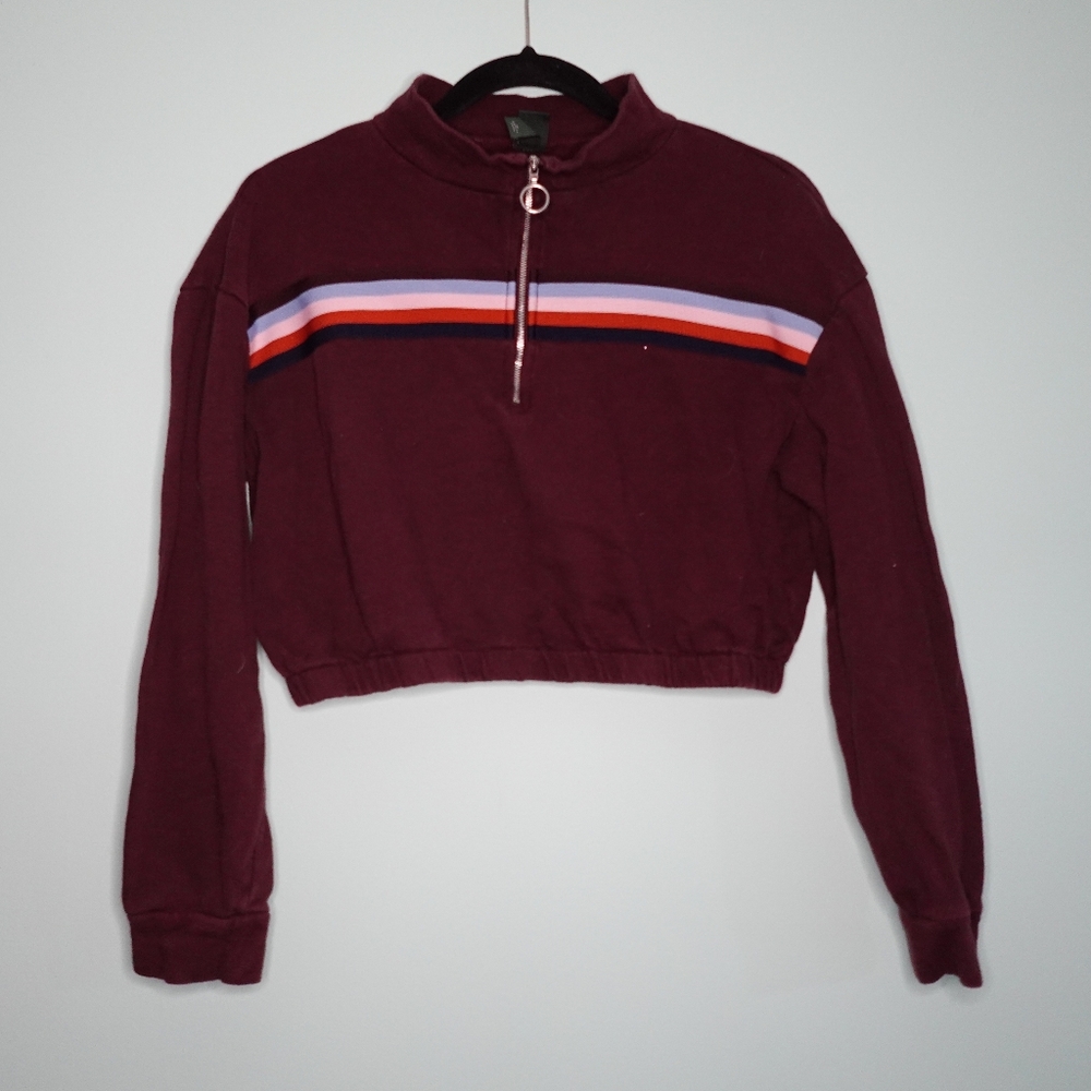Burgundy wild fable Croptop sweater